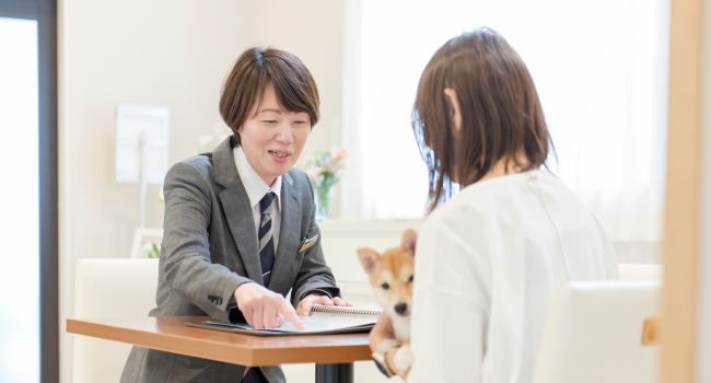 相談